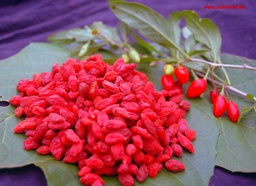 Bayas de goji grandes 1 Kg