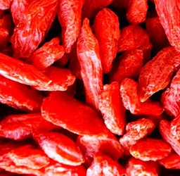 AGROBITS GOJI lycyum (ya comestible) 100 ver