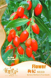 Seeds 10 original packages, 60 seeds / package, fresh Goji