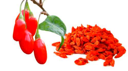 Seeds 50 Goji Berry Semi 2018 (all non-ogm semi-cimel vegetable!): Only seeds